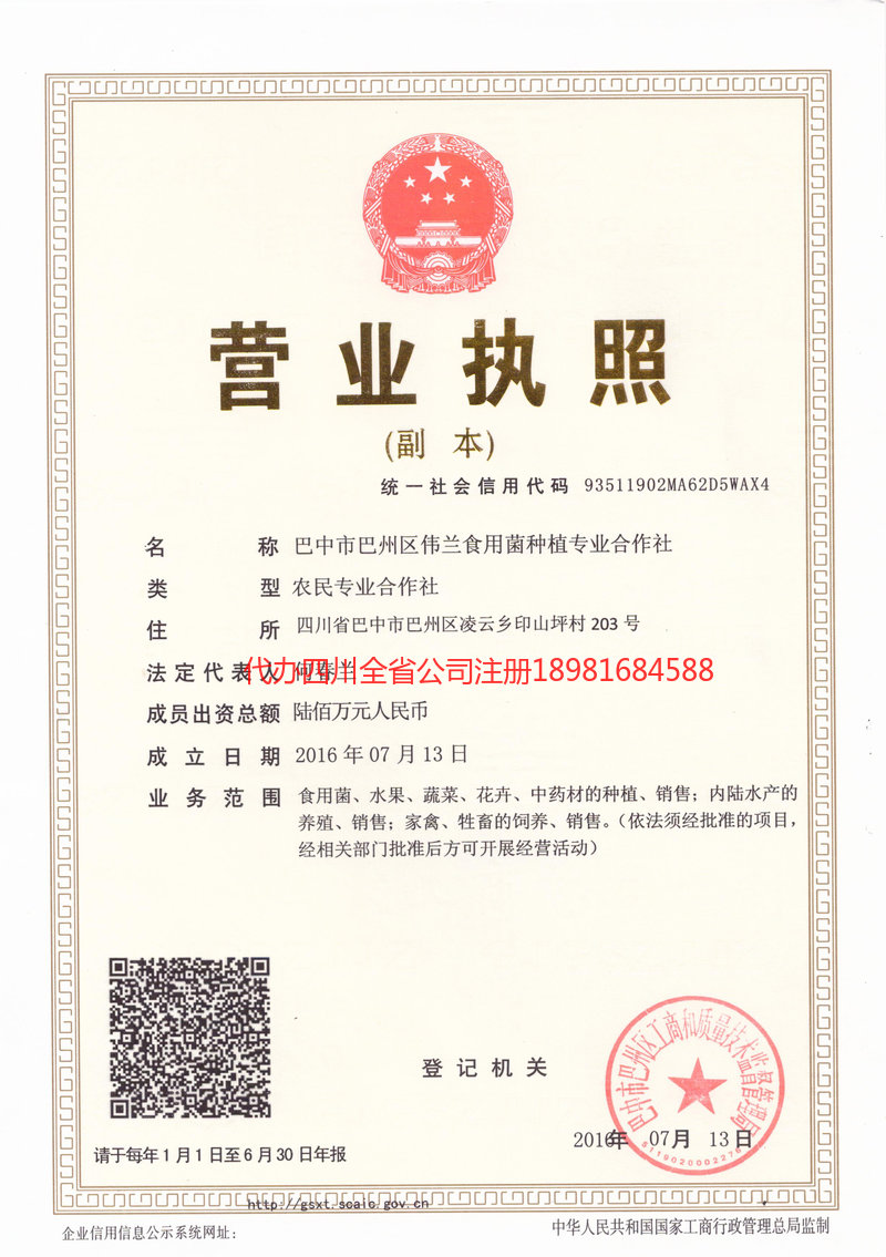 资阳资阳伟兰食用菌种植专业合作社